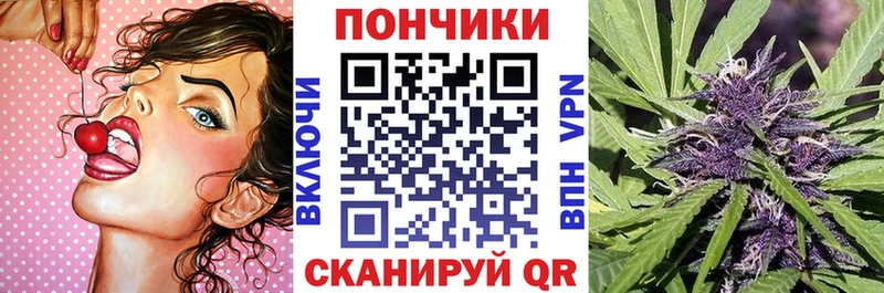 Виды наркотиков купить Заинск ГАШИШ Конопля Cocaine A-PVP АМФЕТАМИН Псилоцибиновые грибы Кодеин Меф мяу мяу