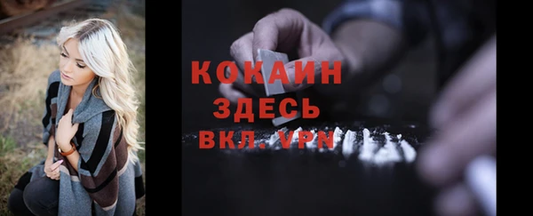 mdpv Няндома