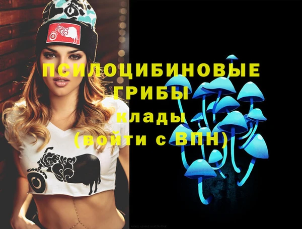прущие крисы Новокубанск