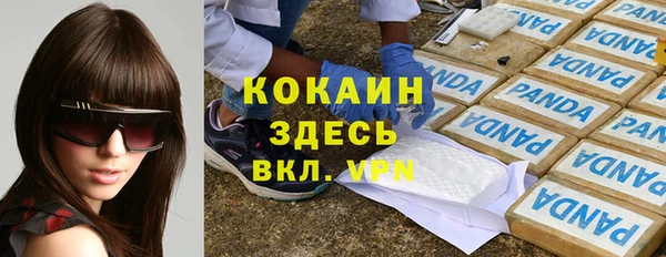mdpv Няндома