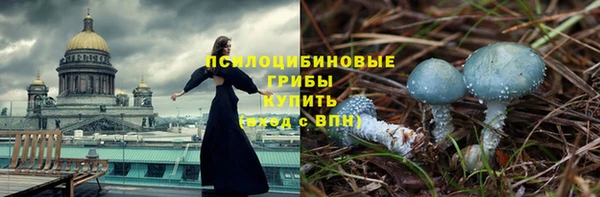 прущие крисы Новокубанск