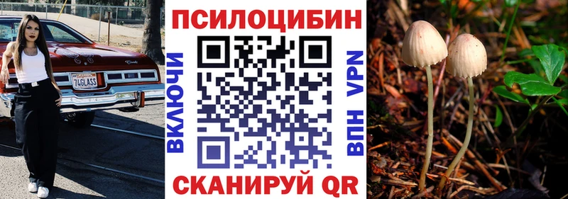 закладки  Заинск  Галлюциногенные грибы GOLDEN TEACHER 