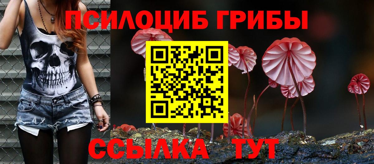 Заинск  Псилоцибиновые грибы Psilocybine cubensis  Галлюциногенные грибы Magic Shrooms  Вход с VPN 
